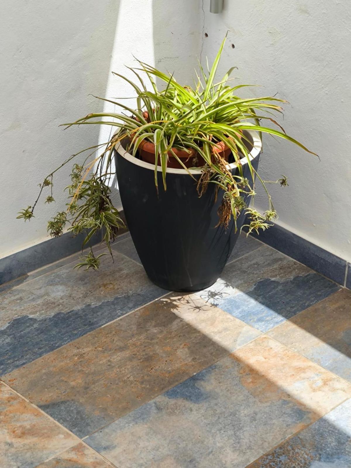 לאחארס Casa Este מראה חיצוני תמונה